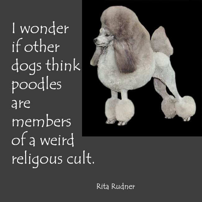 Quotes Pictures About Poodles. QuotesGram