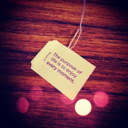 Enjoy Every Moment Quotes Quotesgram Enjoy Every Moment Quotes Quotesgram