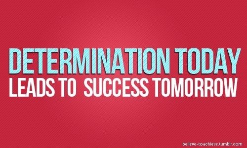 Determination And Goals Quotes. QuotesGram