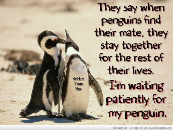 Cute Penguin Love Quotes. QuotesGram