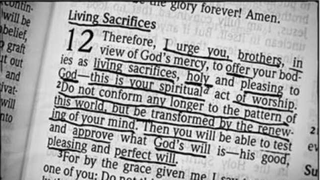 Bible Quotes About Gossip. QuotesGram