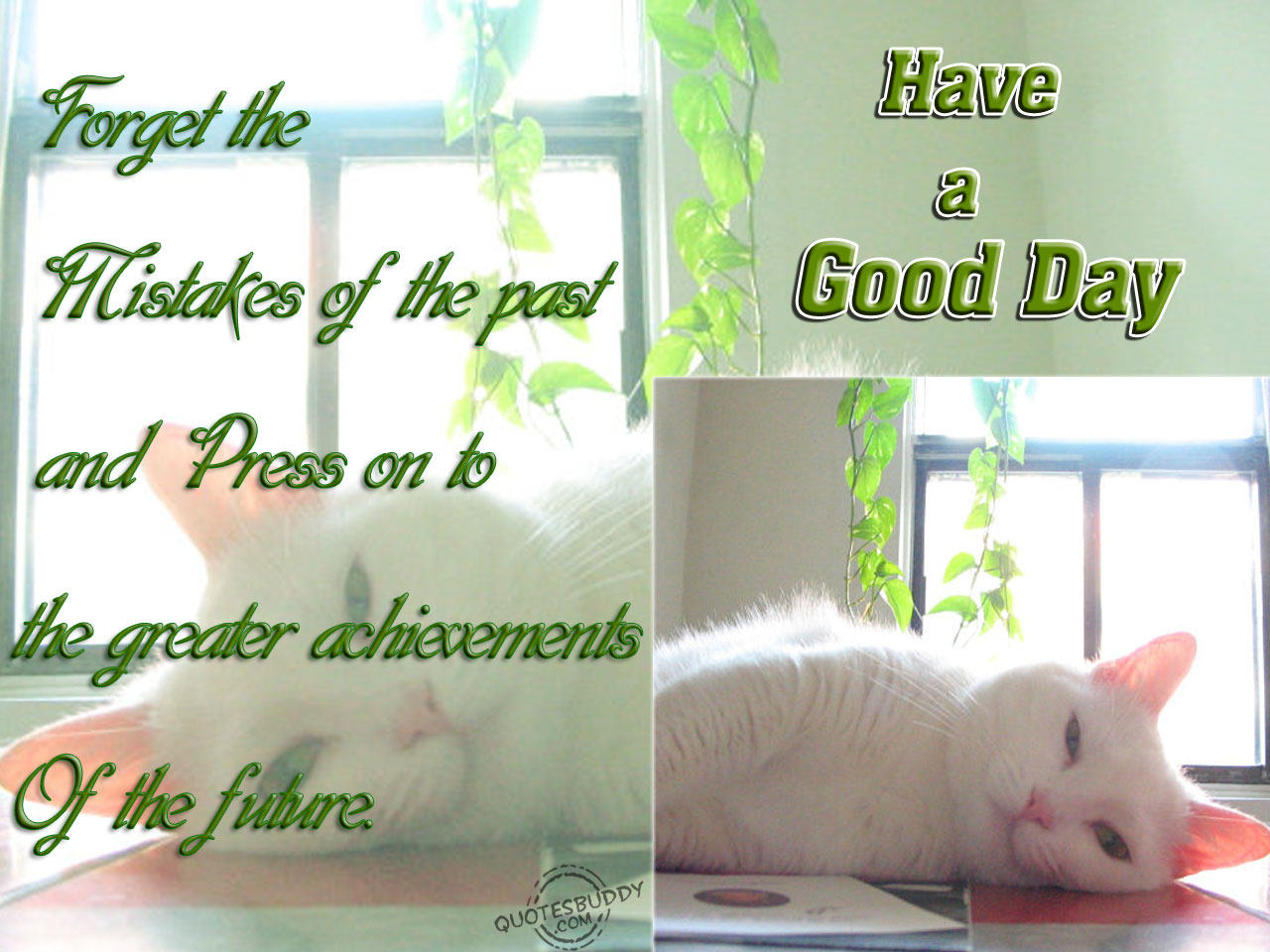 What A Day Funny Quote