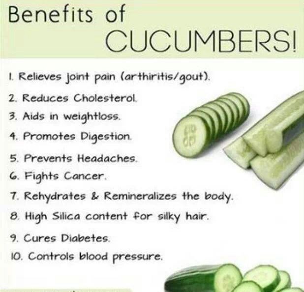 Cucumber Quotes QuotesGram cucumber-quotes-quotesgram