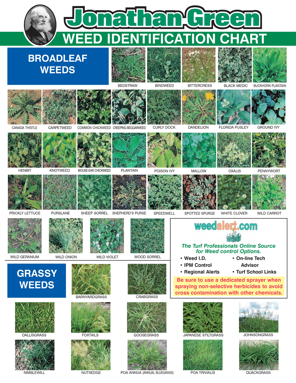 List Of Garden Weeds Uk At Wilma Breazeale Blog