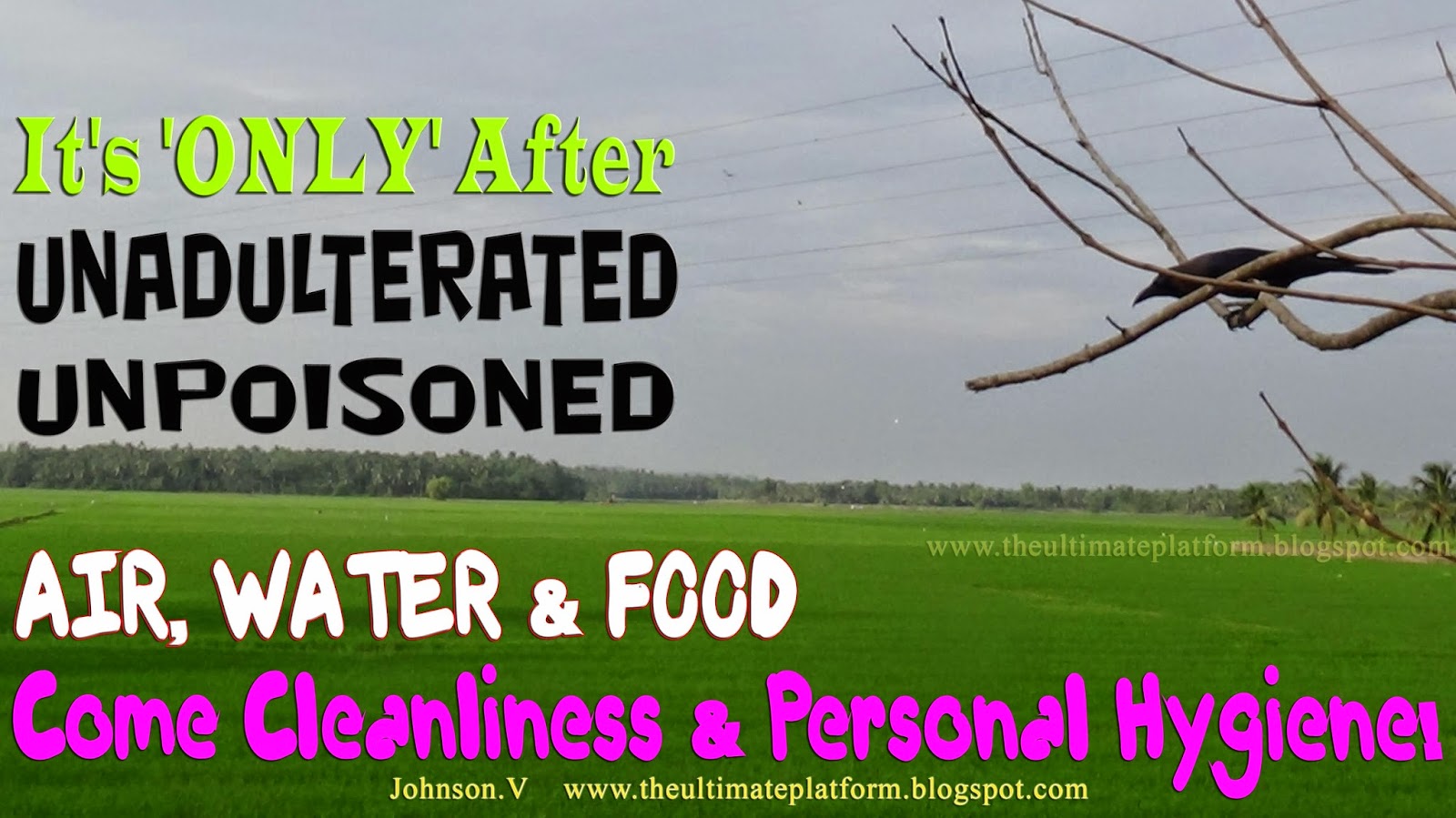 Quotes About Cleanliness Hygiene. QuotesGram