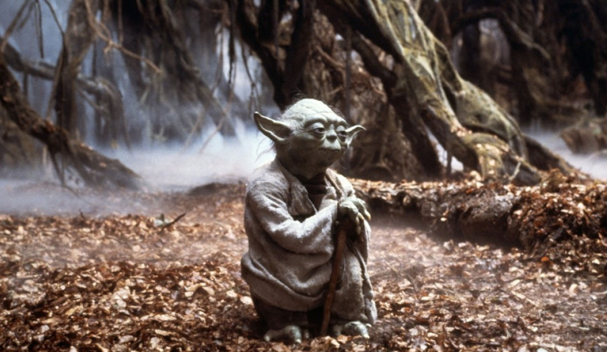 Empire Strikes Back Yoda Quotes Quotesgram Empire Strikes Back Yoda Quotes Quotesgram