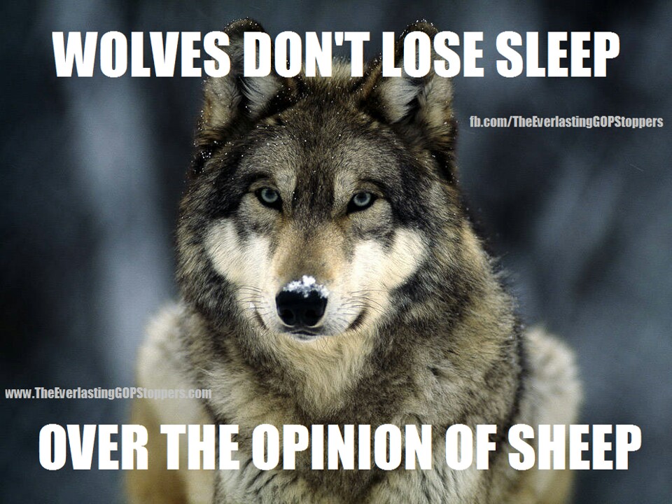 Wolf And Sheep Quotes. QuotesGram