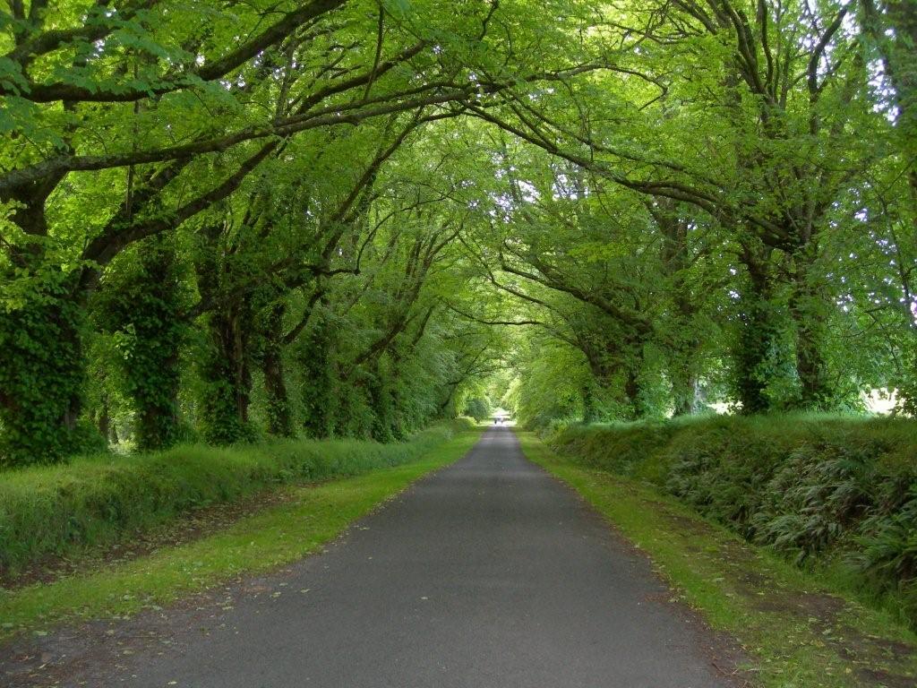 Tverb фото. Stardew valley path. человек на развилке дорог магия. New path. New paths.