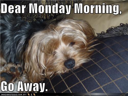 Quotes Puppy Monday. QuotesGram