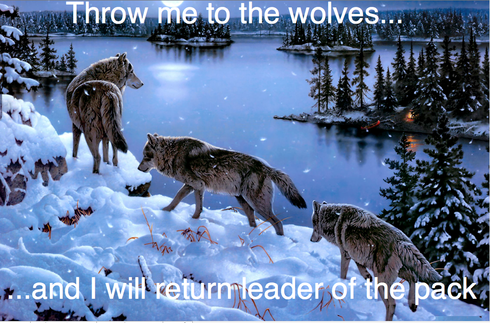 Throw Me To The Wolves Quotes. QuotesGram