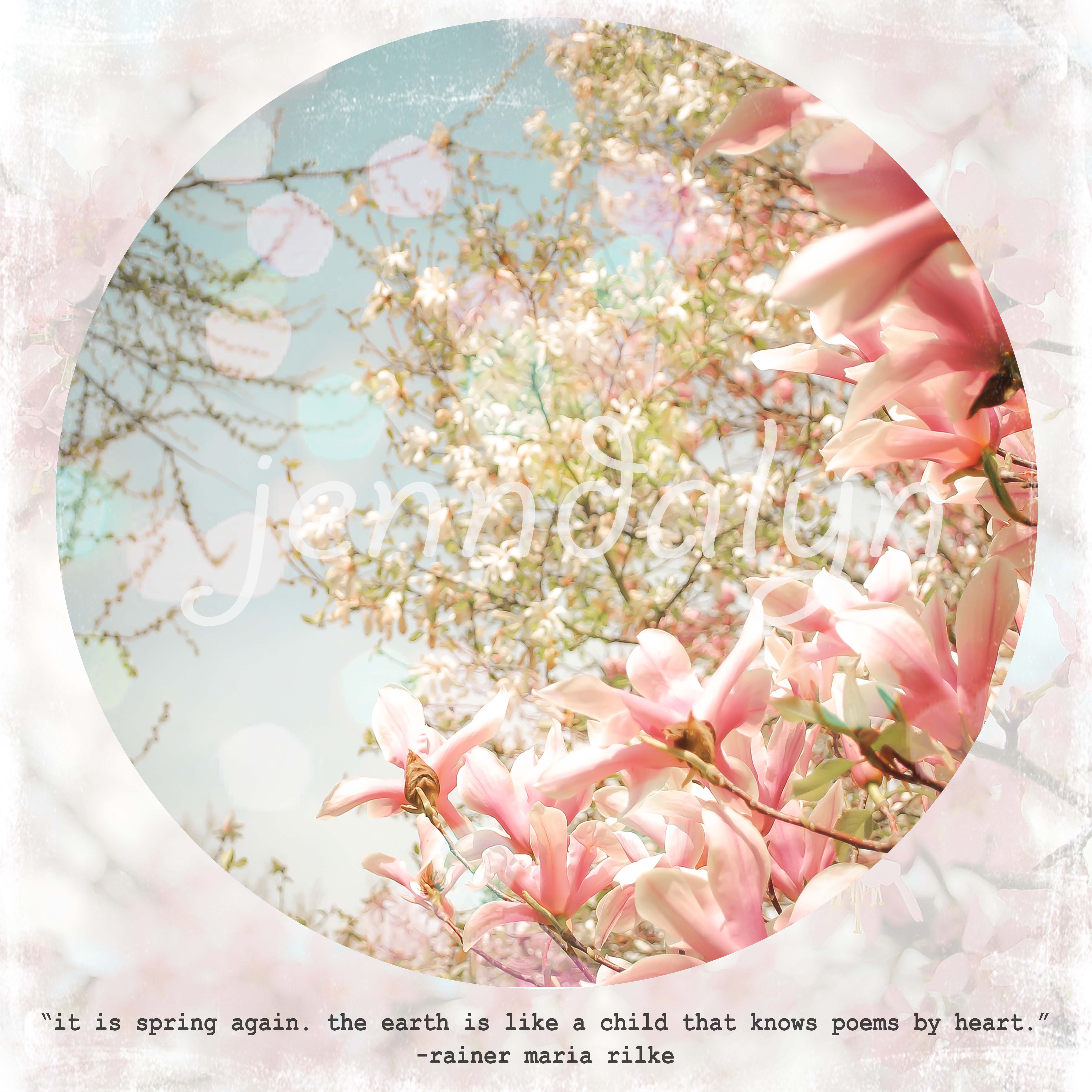 Magnolia Flower Quotes. QuotesGram
