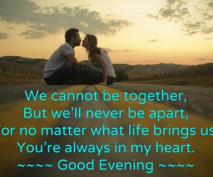 Quotes We Ll Never Be Together. QuotesGram