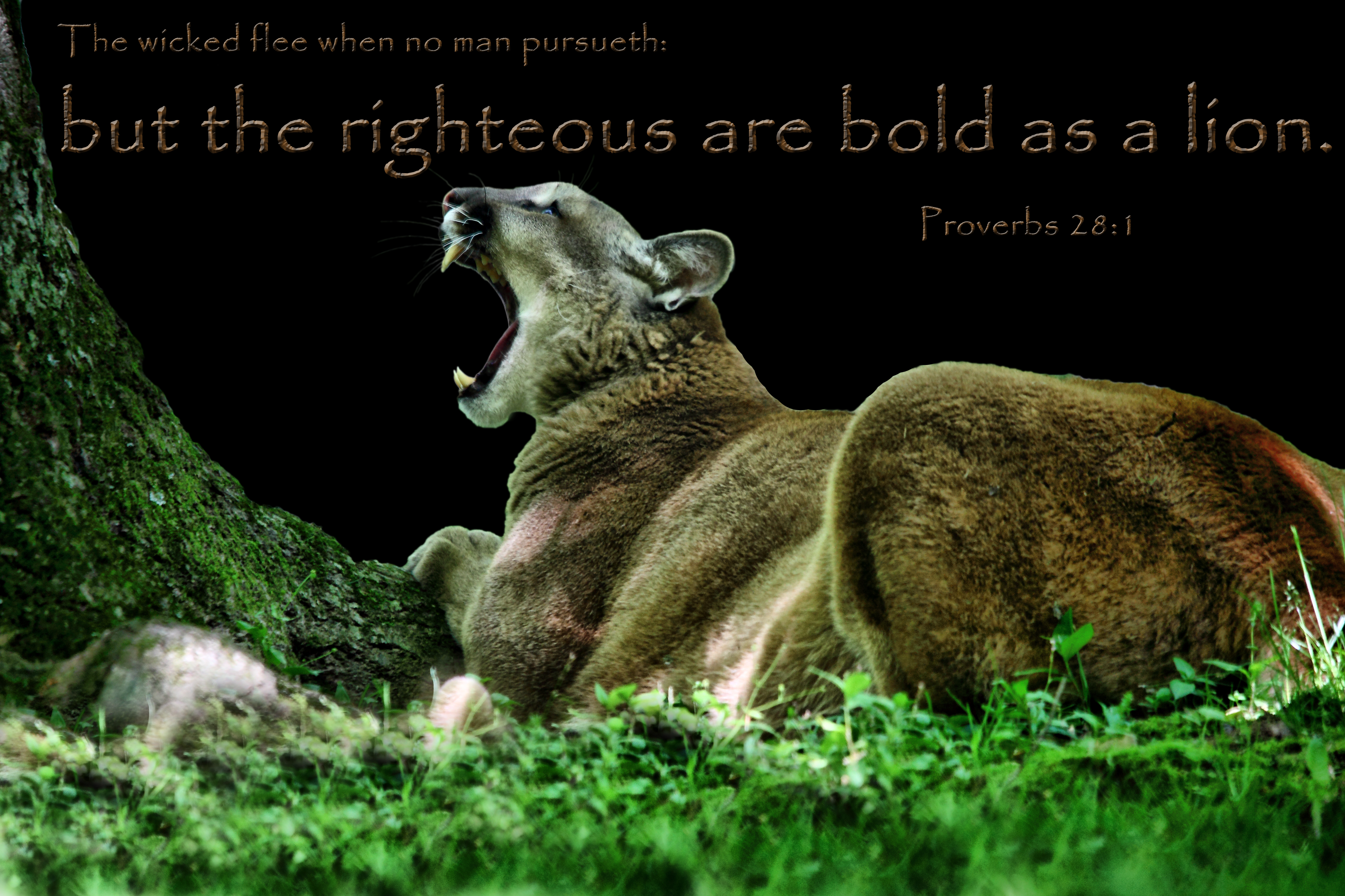 Bible Quotes From The Lion. QuotesGram