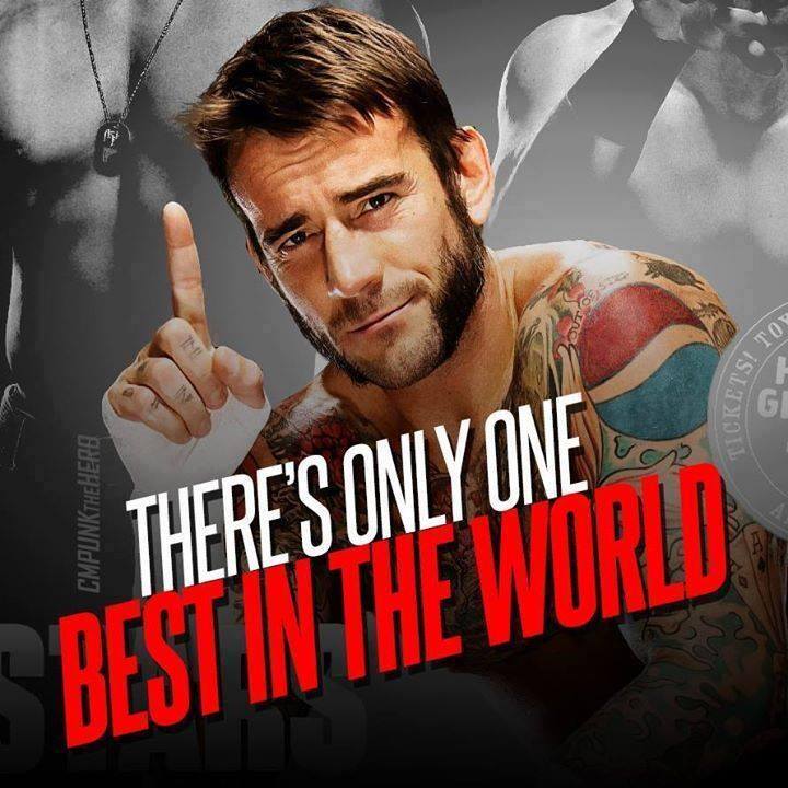 Cm Punk Best Quotes. QuotesGram