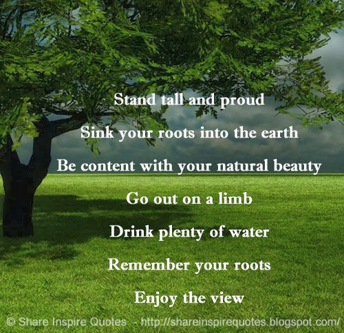 Funny Quotes About Trees. QuotesGram