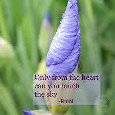 Lotus Flower Meaning Quotes. QuotesGram
