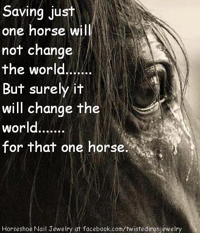 Horse Abuse Quotes. QuotesGram