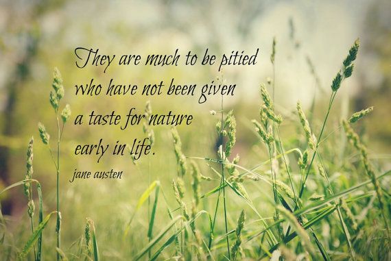 Quotes On Wonders Of Nature. QuotesGram