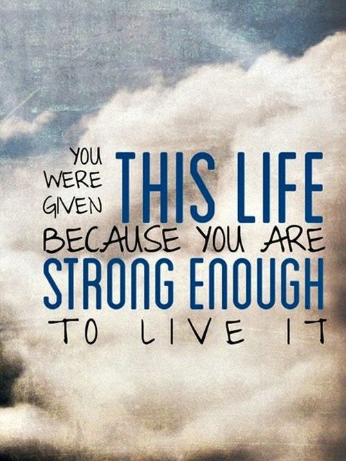 Best Daily Life Quotes QuotesGram