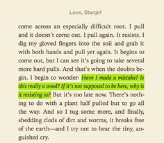 sparknotes love stargirl january 1st
