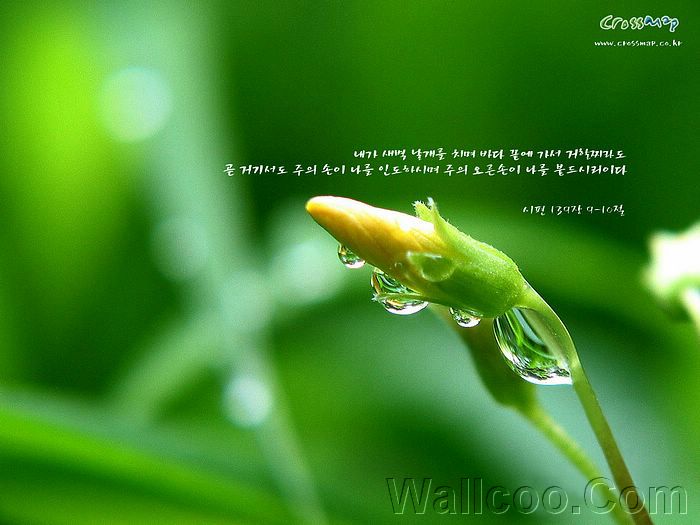 Cool Bible Quote Image 3