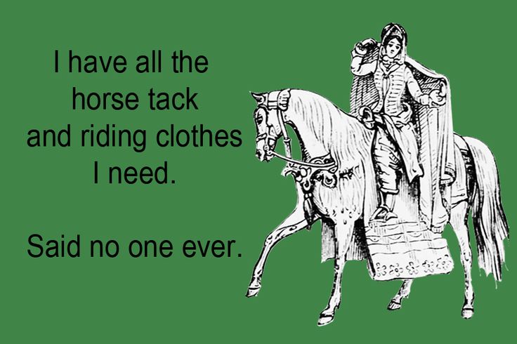 New Horse Quotes. QuotesGram