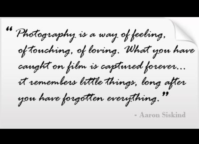 Quotes for Family Photography