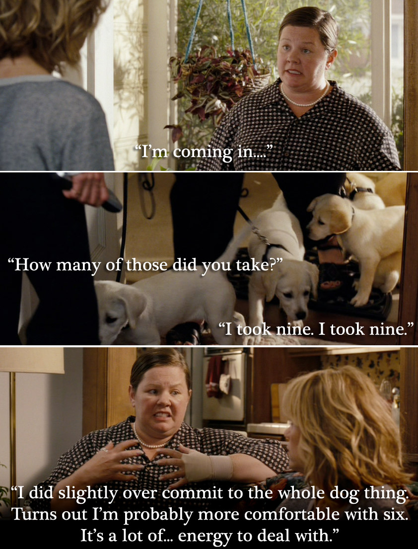 quotes from bridesmaids movie