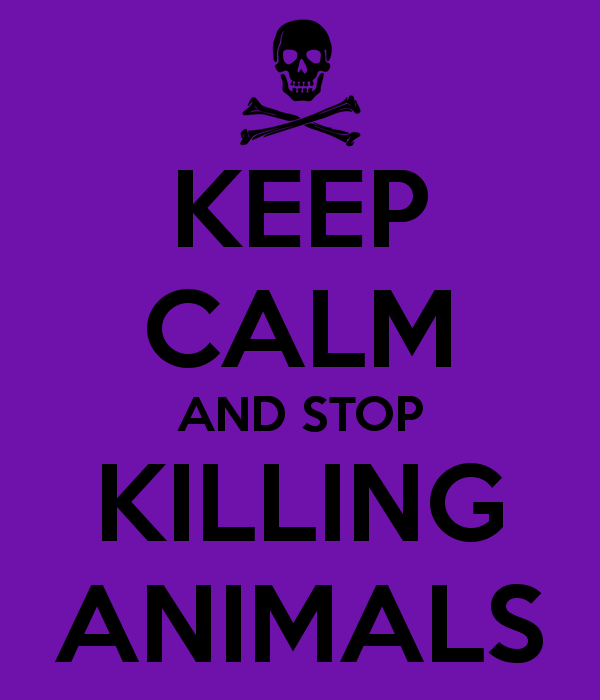 Stop Killing Animals Quotes QuotesGram