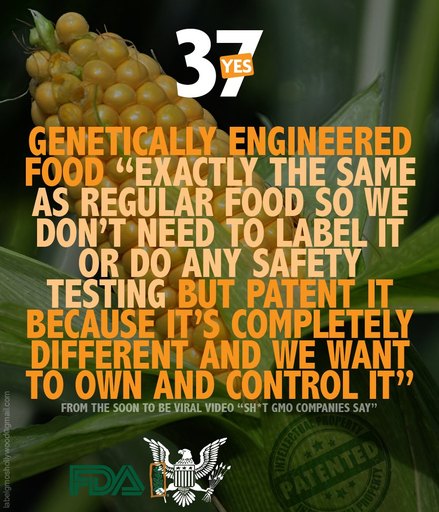The Topic Of Gmos On Our Food
