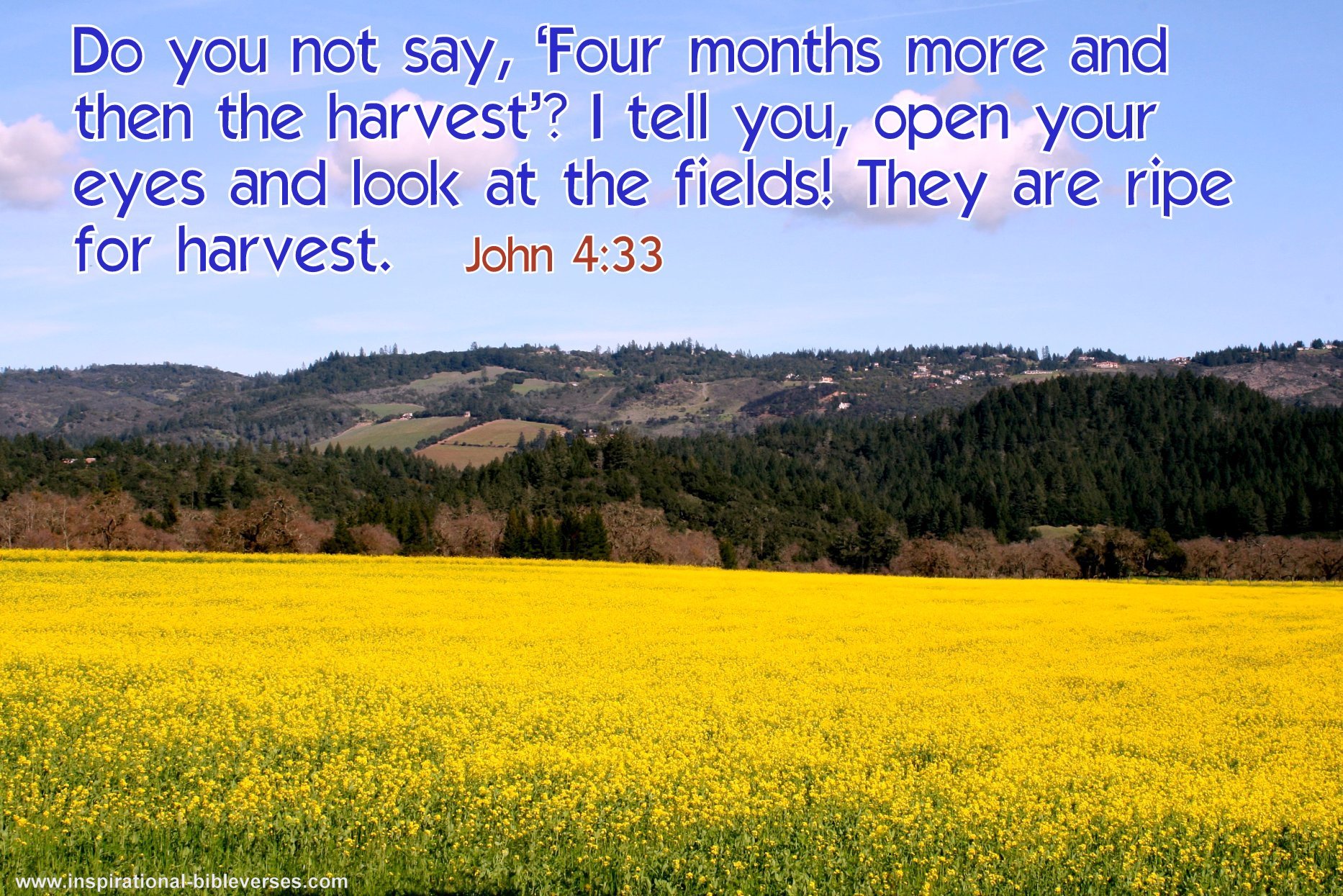 bible verses about growing up to be an adult bible verses about growing up to be an adult