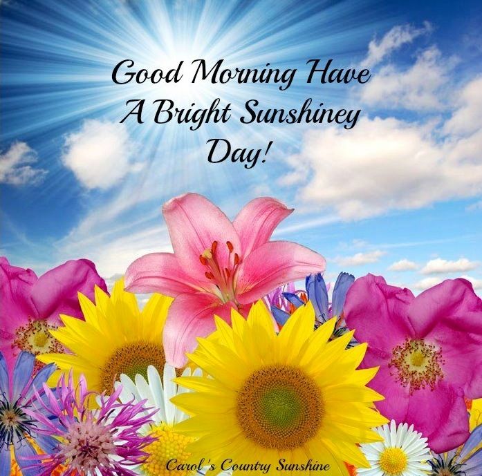 Featured image of post Wednesday Good Morning Sunshine Quotes : The sun is a daily reminder that we too can rise again it feels so good to have the warm sun on our body.
