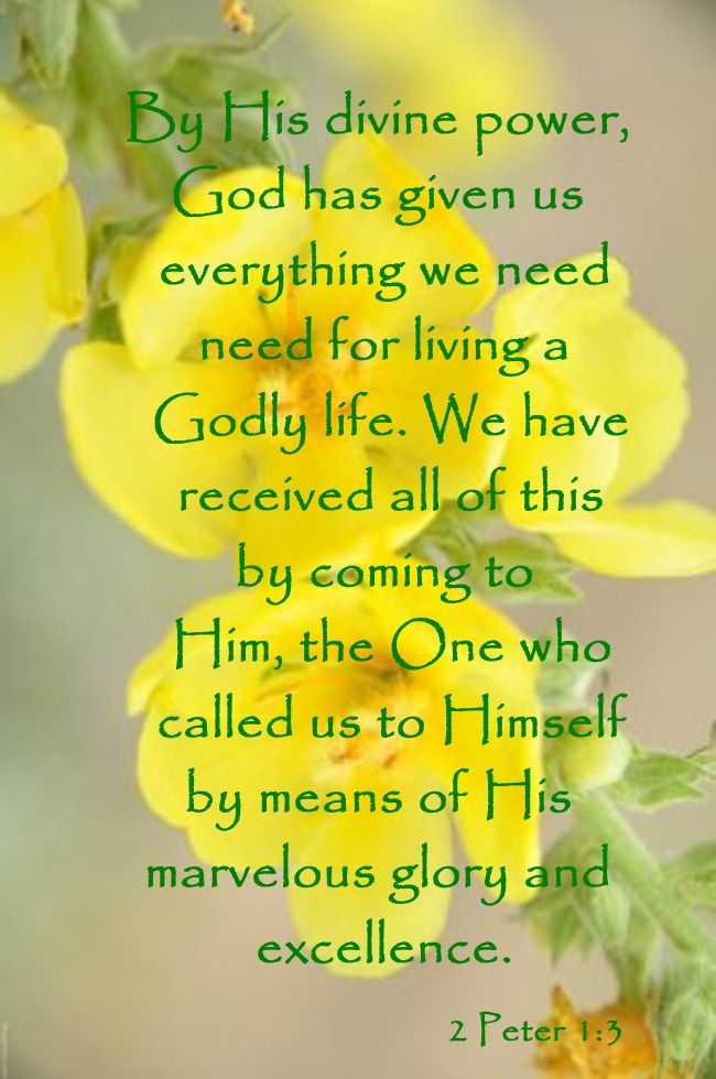 Quote on Hope from Peter