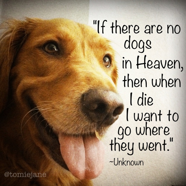 Heaven Quotes Will Rogers Dogs. QuotesGram