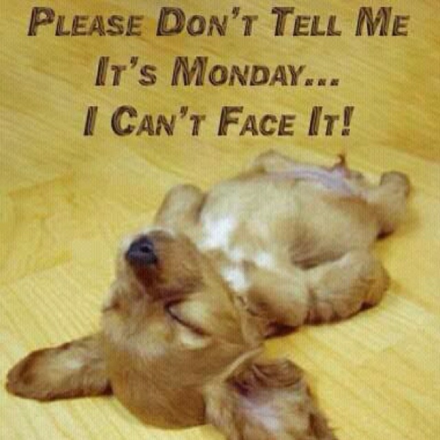 Quotes Puppy Monday Quotesgram