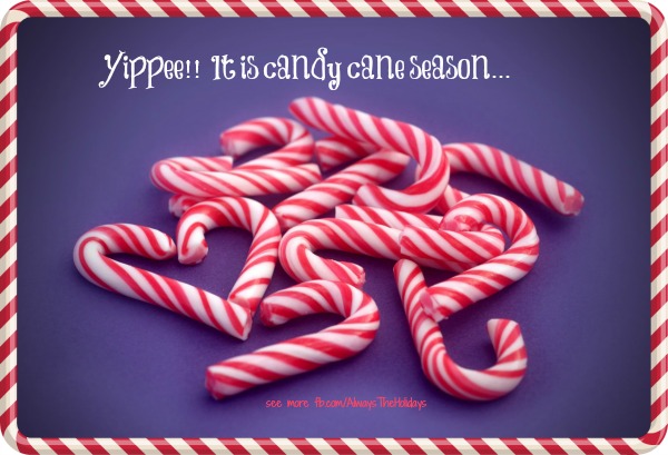 Candy Cane Christmas Quotes Quotesgram There's nothing as cozy as a piece of candy and a book. ― betty macdonald. candy cane christmas quotes quotesgram