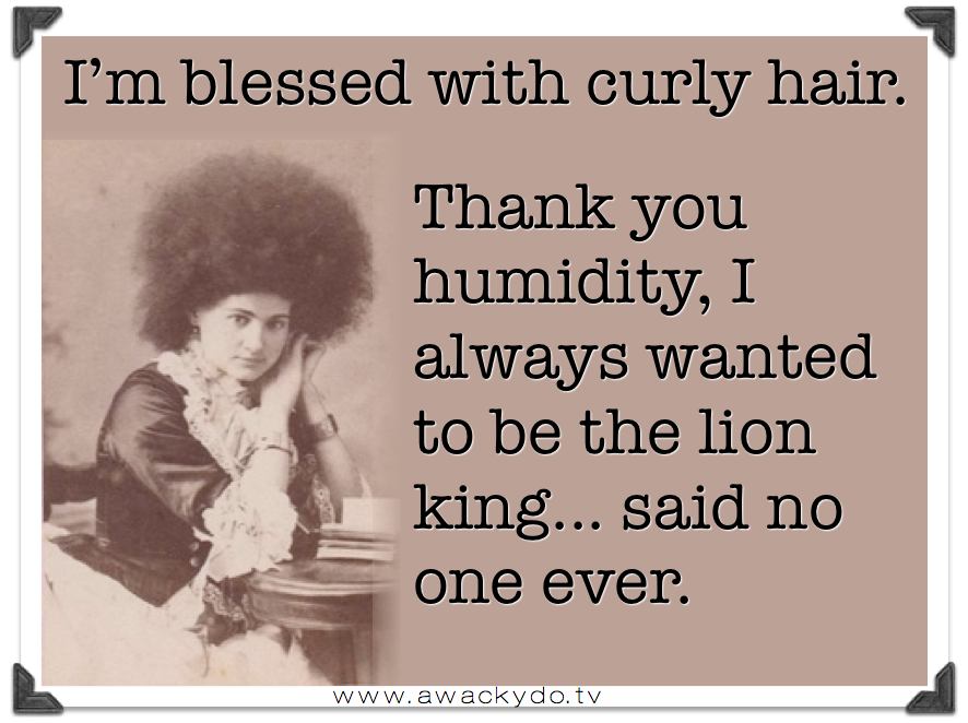 Funny Quotes About Curly Hair Quotesgram