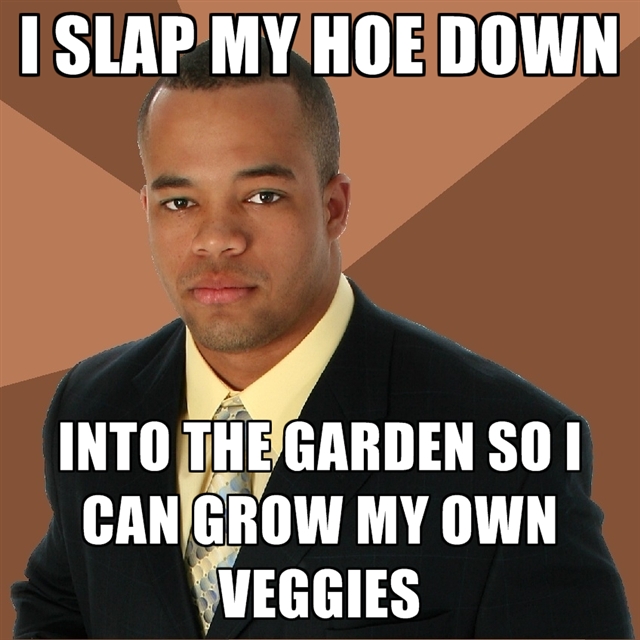 1600816799-i-slap-my-hoe-down-into-the-garden-so-i-can-grow-my-own-veggies.jpg