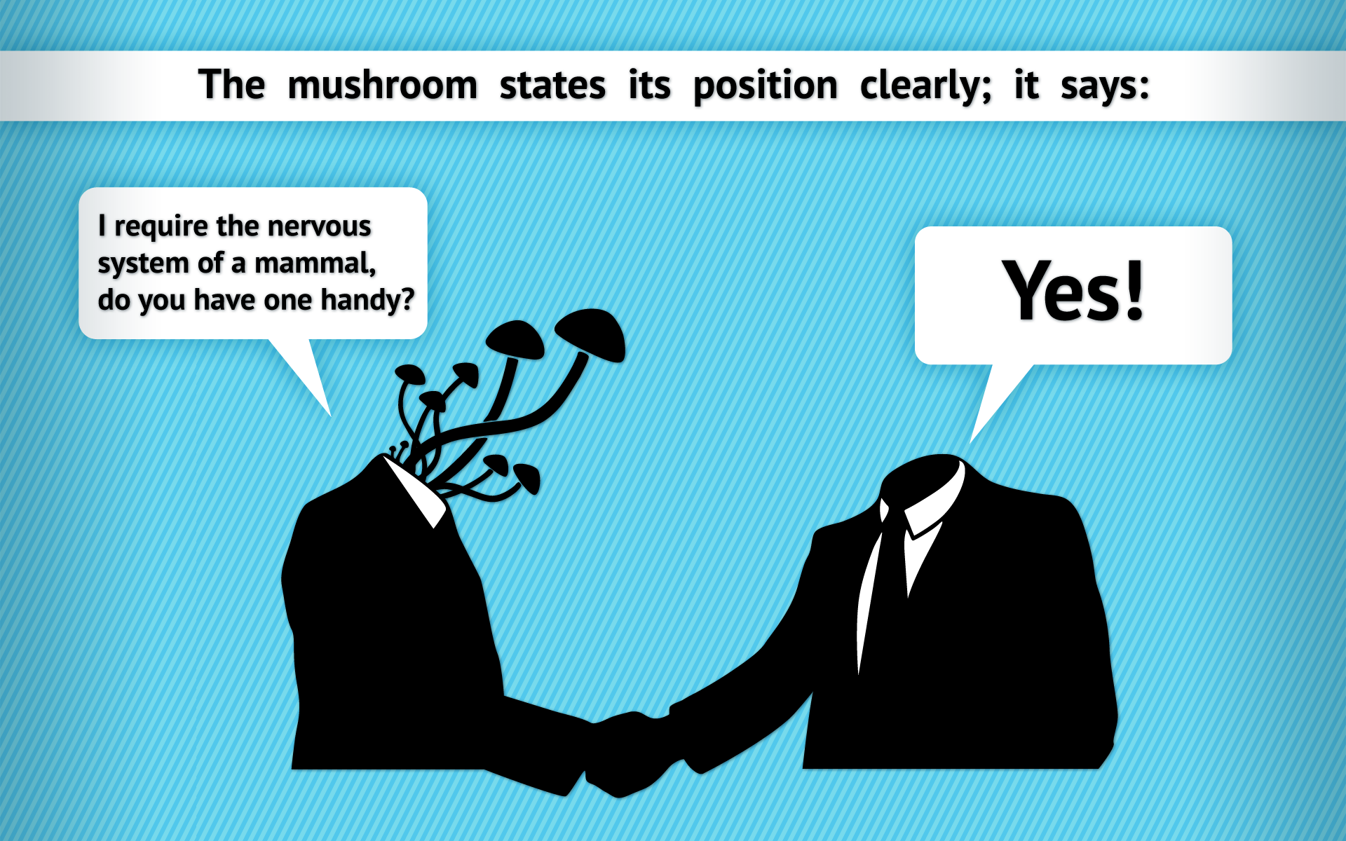 Funny Mushroom Quotes. QuotesGram