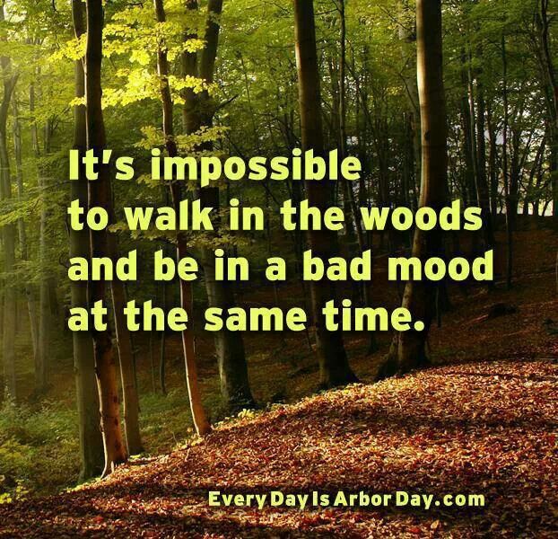 Hammock Quotes. QuotesGram