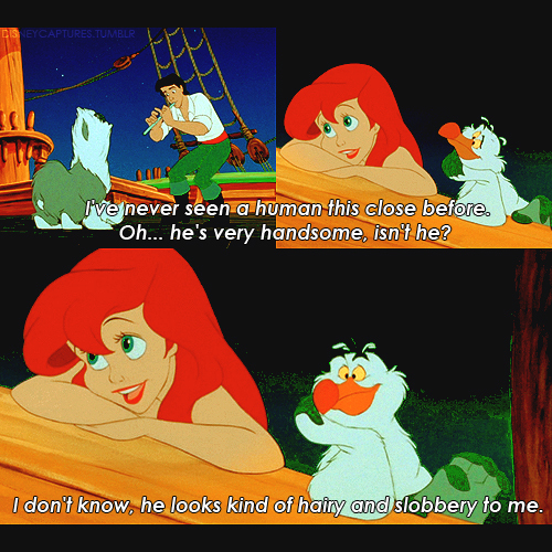 little-mermaid-sebastian-quotes-quotesgram
