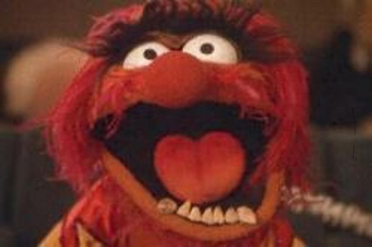 Animal Muppet Quotes. QuotesGram