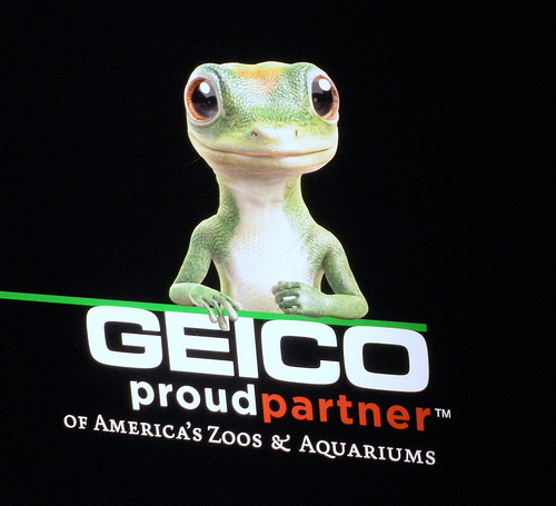 Geico Funny Quotes.