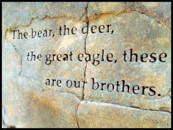 Chief Seattle Quote on Family