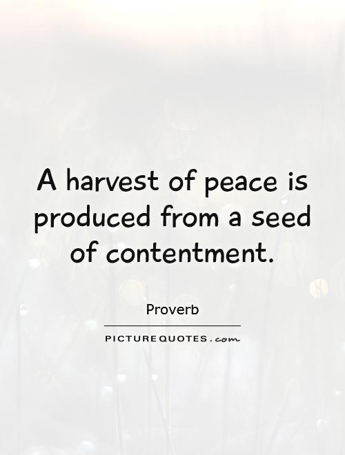 Quotes about contentment quotesgram
