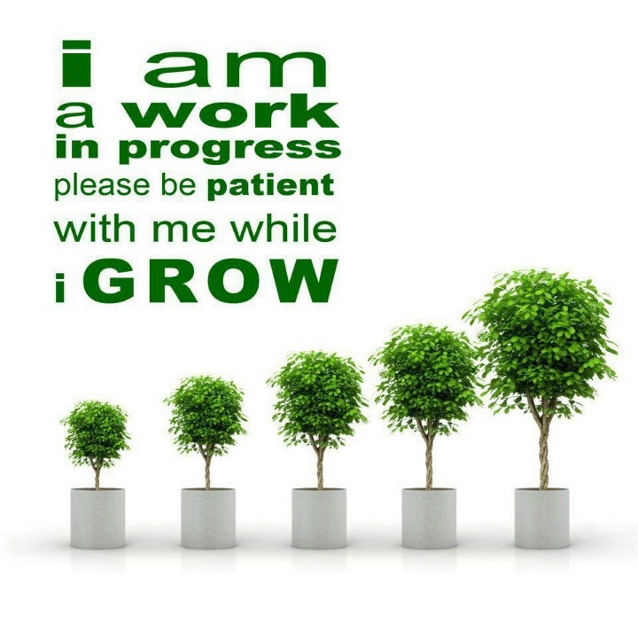 I Am A Work In Progress Quotes Quotesgram I Am A Work In Progress Quotes Quotesgram