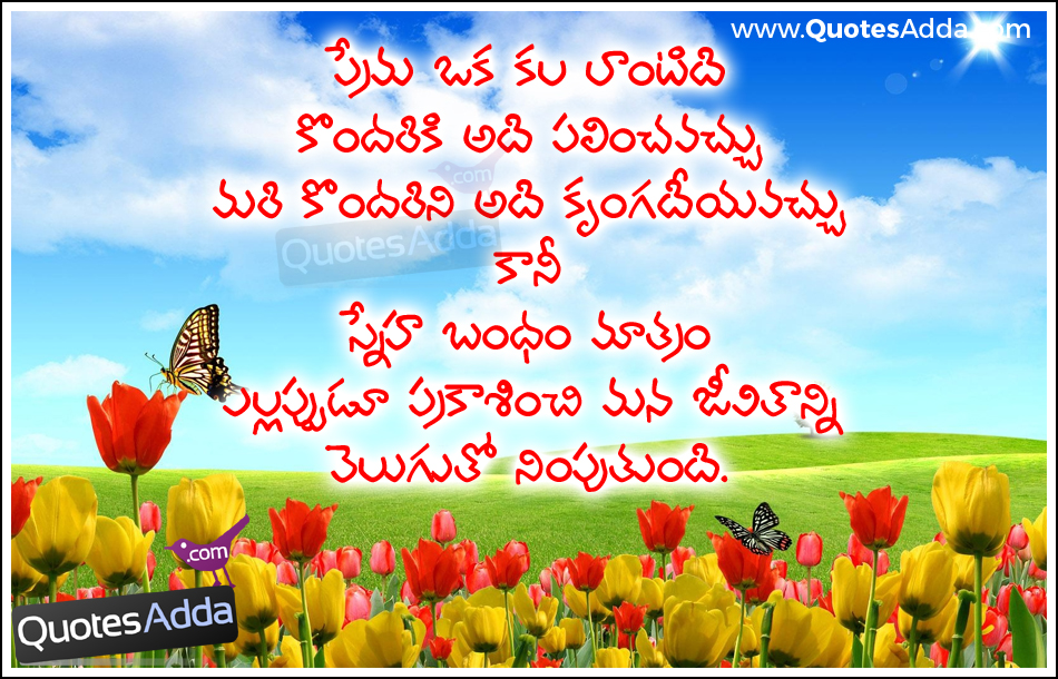 Get Wallpaper Love Vs Friendship Quotes Quotesgram For Android