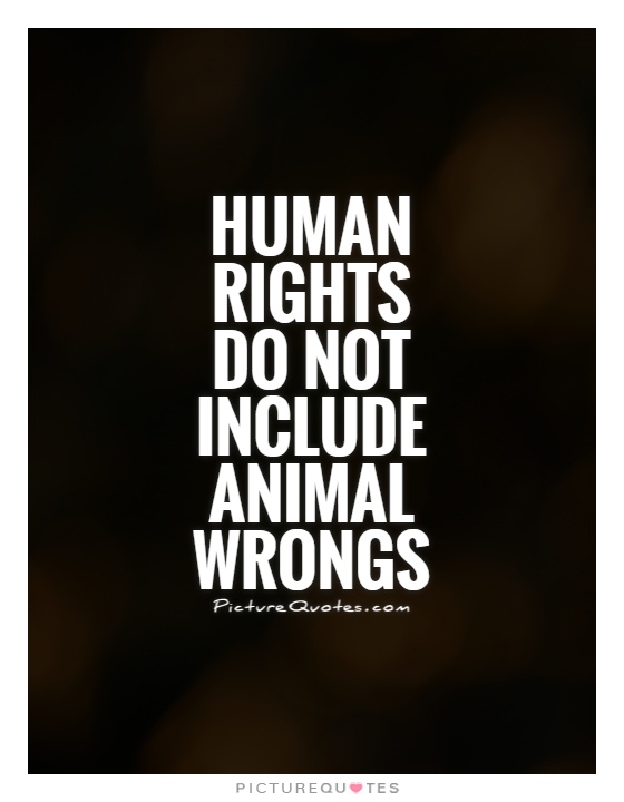 Animal Rights Sayings And Quotes. QuotesGram