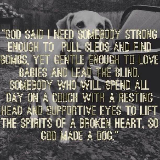 And God Quotes About Dogs Quotesgram