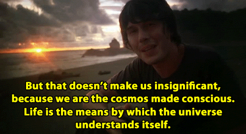 Brian Cox Physicist Quotes Quotesgram Brian Cox Physicist Quotes Quotesgram